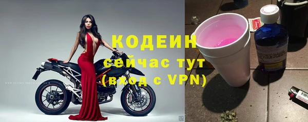 прущие грибы Абдулино