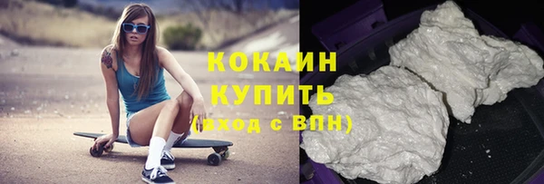 прущие грибы Абаза