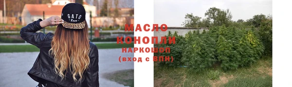 прущие грибы Абаза