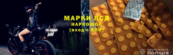 прущие грибы Абаза
