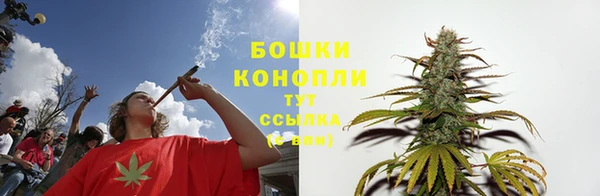 прущие грибы Абдулино