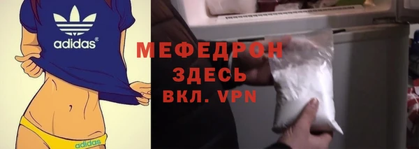 прущие грибы Абаза