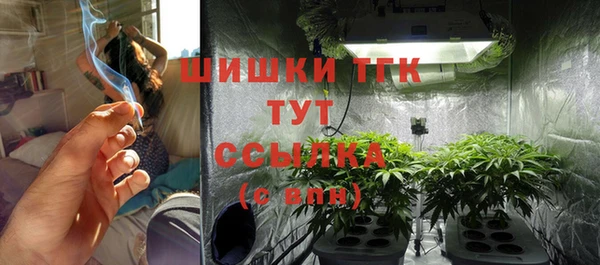 прущие грибы Абаза