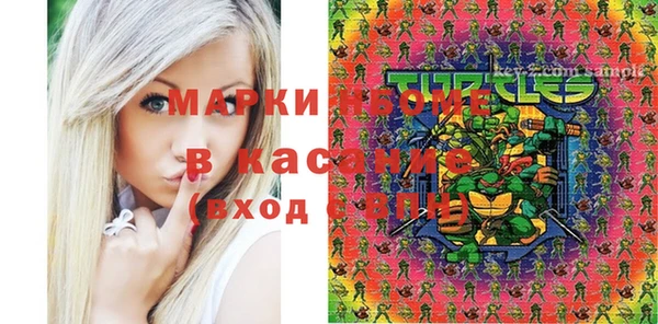 прущие грибы Абаза