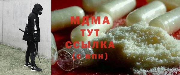прущие грибы Абаза