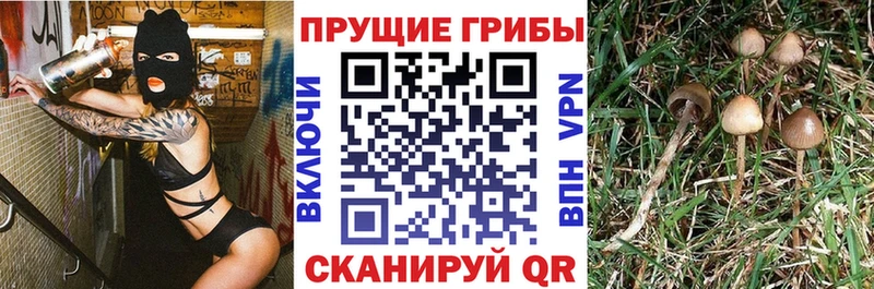 как найти наркотики  Кумертау  Галлюциногенные грибы мухоморы 