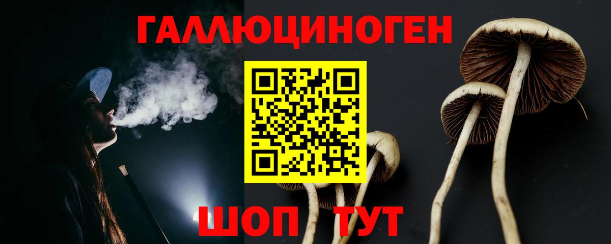 Псилоцибиновые грибы Psilocybine cubensis Кумертау